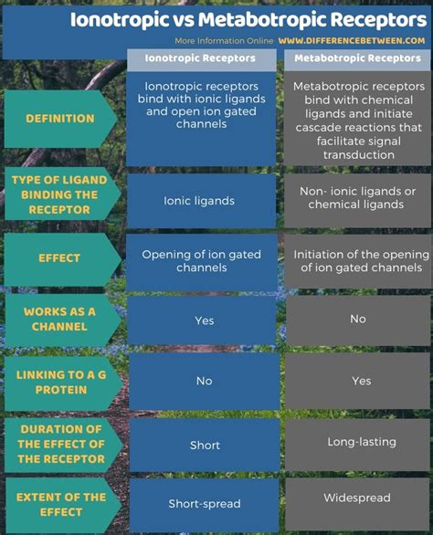 Difference Between Ionotropic and Metabotropic Receptors | Compare the ...