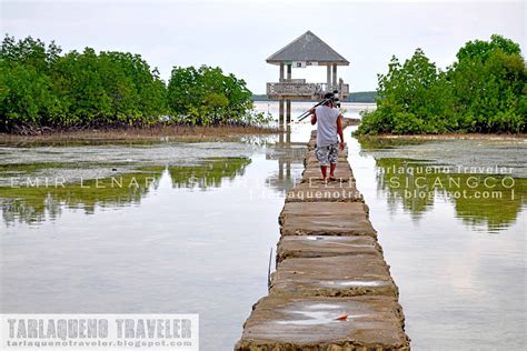 Bird Watching at Olango Island Wildlife Sanctuary || Tarlaqueno Traveler