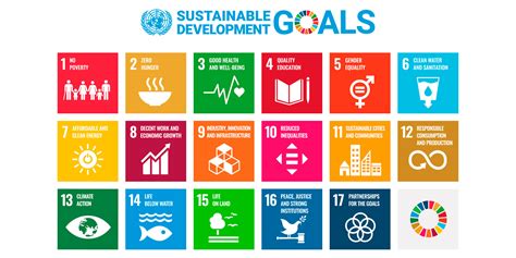 What are the Sustainable Development Goals (SDG)? | HEC Paris