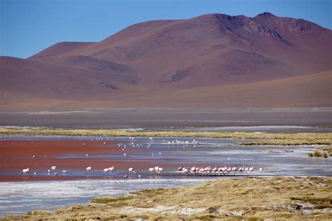 Laguna Colorada, Bolivia