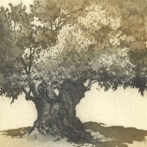 Old Olive Tree - Chrissy Norman | Olive tree painting, Tree painting, Landscape paintings