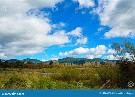 Bright Autumn Day at North Island Volcanic Plateau of New Zealand Stock Photo - Image of ...