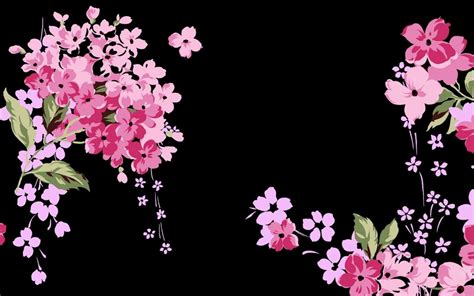 Black and Pink Flower Wallpapers - Top Free Black and Pink Flower ...