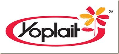 Stories of a Traveling Diva: MyBlogSpark: Yoplait Light’s Two Week Tune Up