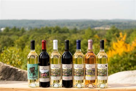 Best Wineries & Vineyards Near Boston: Where to Go Wine Tasting in New ...