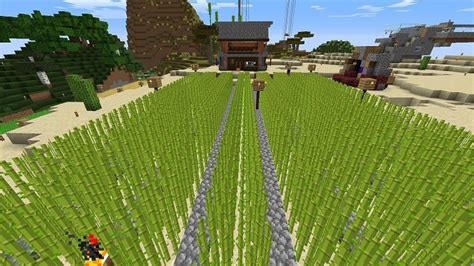 How to build a paper farm in Minecraft