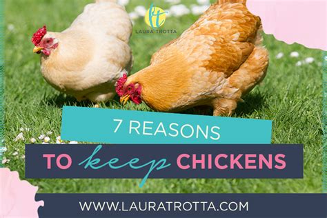 7 Benefits Of Keeping Backyard Chickens - Laura Trotta