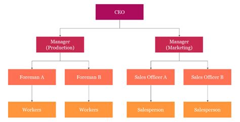 What Is Organizational Chart and 5 Best Org Chart Creators