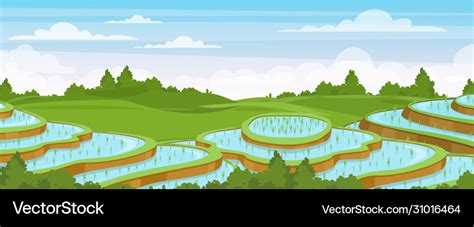 Rice field landscape cartoon Royalty Free Vector Image