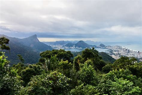 Rio de Janeiro in One Day-Favela and Rainforest Hiking Tour - Rio de Janeiro Blog