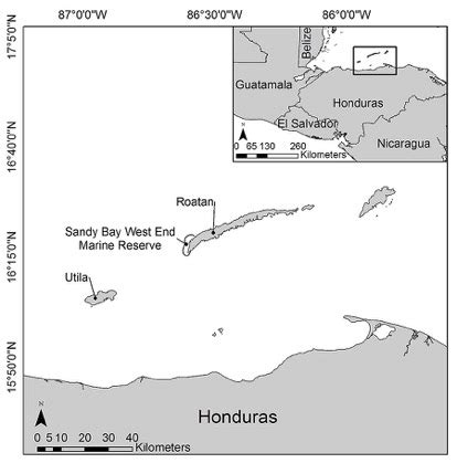 Map of the Bay Islands of Honduras showing Roatán and Utila. The area... | Download Scientific ...