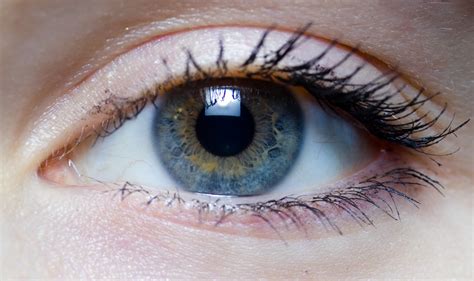 File:Iris - right eye of a girl.jpg - Wikimedia Commons