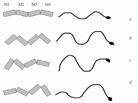 Different types of snake locomotion generated with different angle... | Download Scientific Diagram