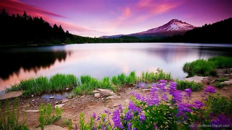 Colorful Nature Hd Wallpaper - windows 10 Wallpapers