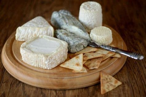 Goat Cheeses of France- The Original Chèvre - All She Cooks