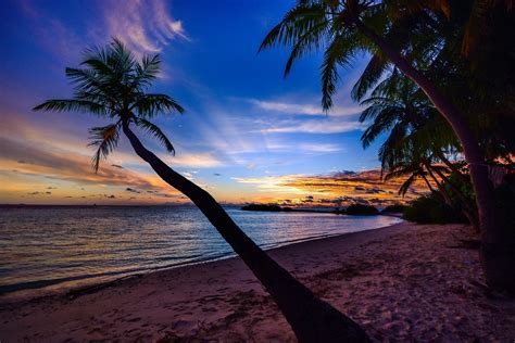 Beach Sunset With Palm Trees | CASA DE LAS PALMAS