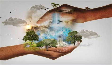 10 Importance of Conservation of Natural Resources - Environment Go! (2023)