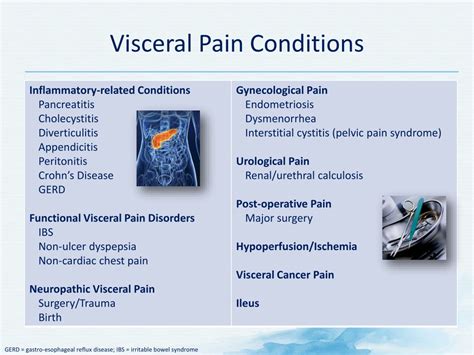 PPT - Pathophysiology of Visceral Pain PowerPoint Presentation, free ...