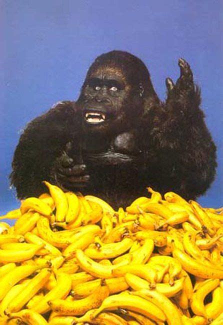 bananas | Banana, Gorilla, Eating bananas