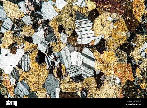 amphibolite rock thin section Stock Photo - Alamy