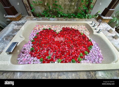 Rose petal bath at a spa, Bangkok, Thailand Stock Photo - Alamy