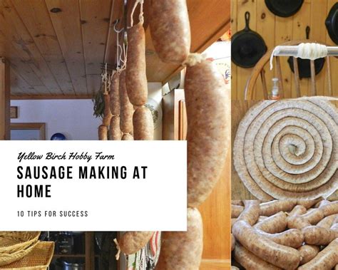 Sausage Making at Home: 10 Tips for Success Sausage Making, How To Make Sausage, Hobby Farms ...