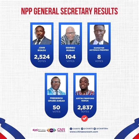 How NPP delegates voted for their new national leaders [Full results]