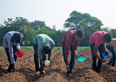 A Behind–the-Seeds Look at Feeding the World – RealAgriculture