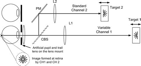 Figure 2.6 from The depth of focus of the human eye. | Semantic Scholar