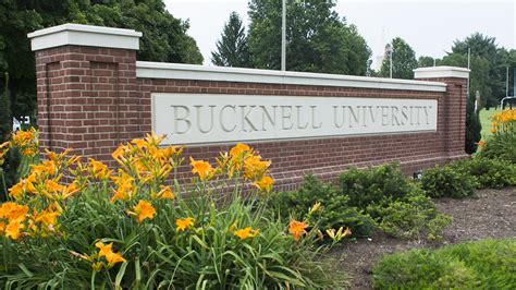 Bucknell endowment blasts benchmark with 34.3% return | Pensions & Investments