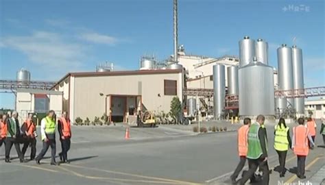 Westland Milk's sale to China 'positive for everyone', says chairman | Newshub