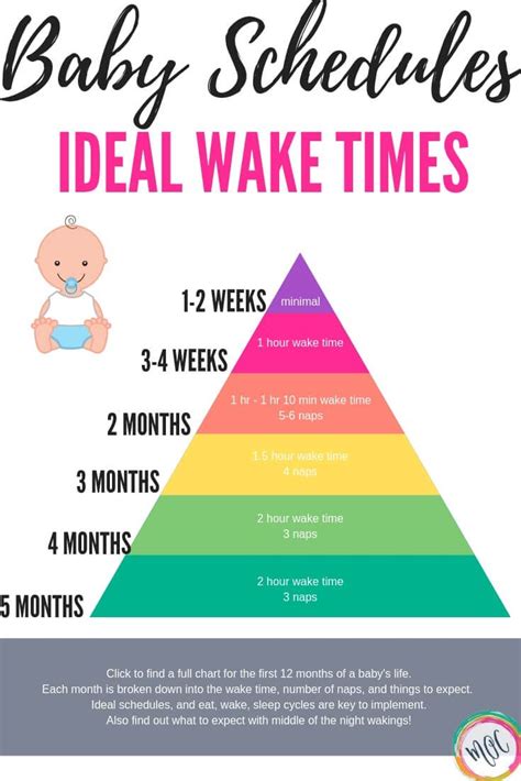 should 2 month old have sleep schedule - Holding Weblogs Photographs