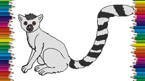 How to Draw a Lemur step by step | Easy animals to draw - YouTube