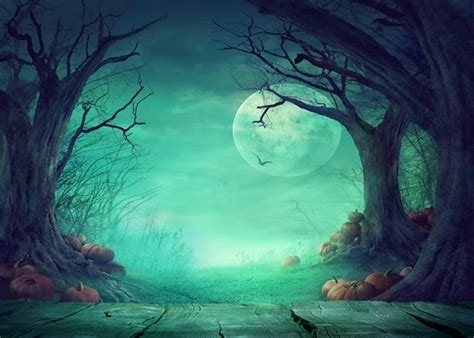 Full Moon Withered Trees Pumpkins Night Scenic Picture Backdrops for Halloween Party