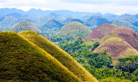 Guide to the Chocolate Hills in Bohol, Philippines: how to visit