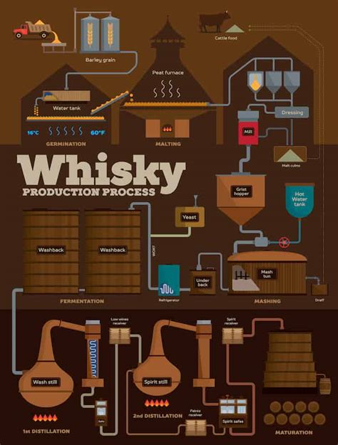 The Whisky Distillation Process in One Simple Infographic - The Whiskey ...