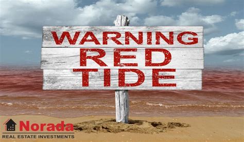 What Causes Red Tide on Florida Beaches (2024)