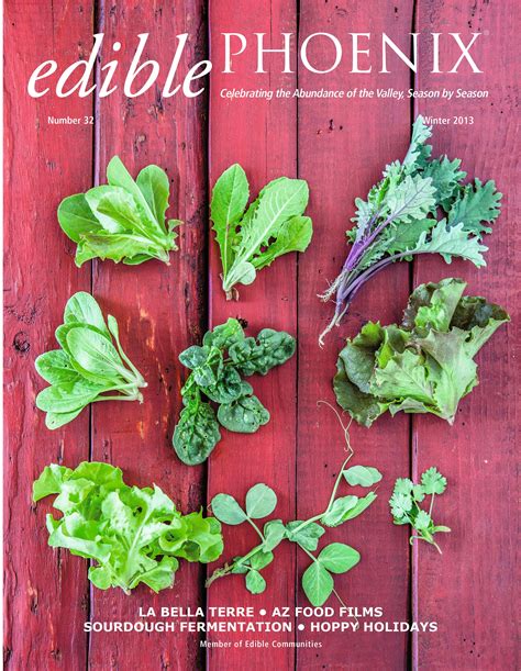 Edible Phoenix Winter 13 Baby Vegetables and Lettuce from Desert Roots Farm | Vegetables for ...