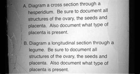 SOLVED: A. Diagram a cross section through a hesperidium: Be sure to document all structures of ...