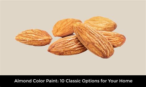 Almond Color Paint: 10 Classic Options for Your Home