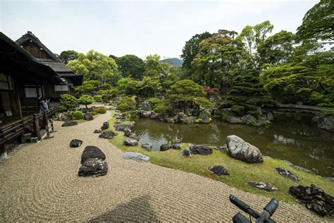 What is a Japanese zen garden and how do they promote mindfulness? – Agriculture Monthly