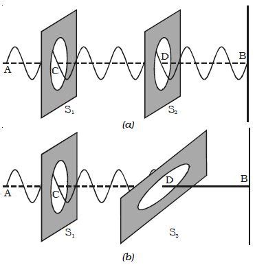 Explain Polarization of Transverse Waves - QS Study