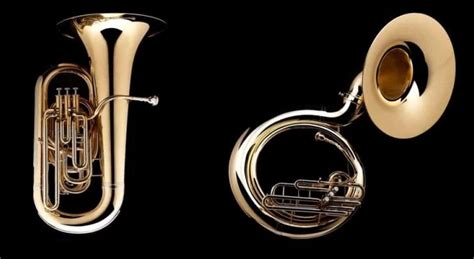 Tuba vs. Sousaphone - Key Differences & Other Interesting Facts!