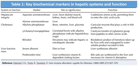 Liver Enzymes Levels Chart: A Visual Reference of Charts | Chart Master