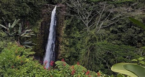 Akaka Falls - Go Wandering