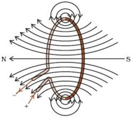 Magnetic field due to a current through circular loop | Class 10, Magnetic effects of electric ...