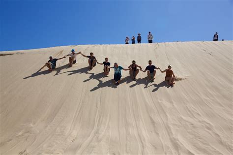 Port Stephens 4wd - Sandboarding - 2 hours outside of Sydney | Sandboarding, Whale watching ...