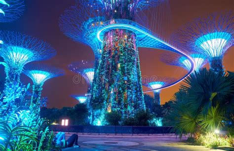 Gardens by the Bay at Night in Singapore Editorial Stock Photo - Image of asia, dusk: 208046513