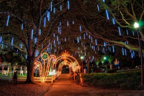 Straub Park Lights | Florida christmas, Florida holiday, Places in florida