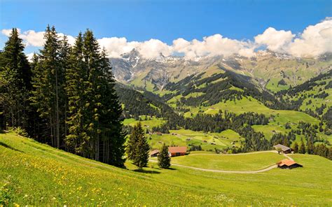 Switzerland Scenery Mountains Grasslands Oberland Fir Nature 412000 ...